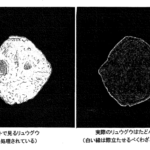 【はやぶさ２と微小惑星リュウグウ】JAXA宇宙科学研究所相模原キャンパス・特別公開レポート